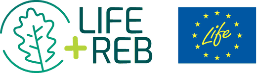 LIFE +REB, cofinanciado por el Programa LIFE de la Unión Europea